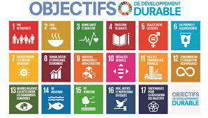 entreprise dans le développement durable