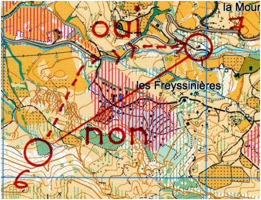 Découvrez l’Aventure de la Course d’Orientation