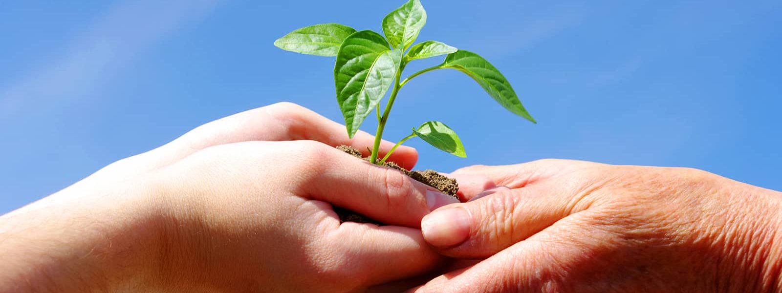 La Définition de la Durabilité : Construire un Avenir Durable en Suisse