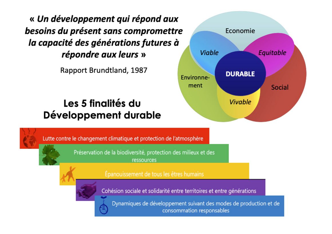 Comprendre la Définition du Développement Durable