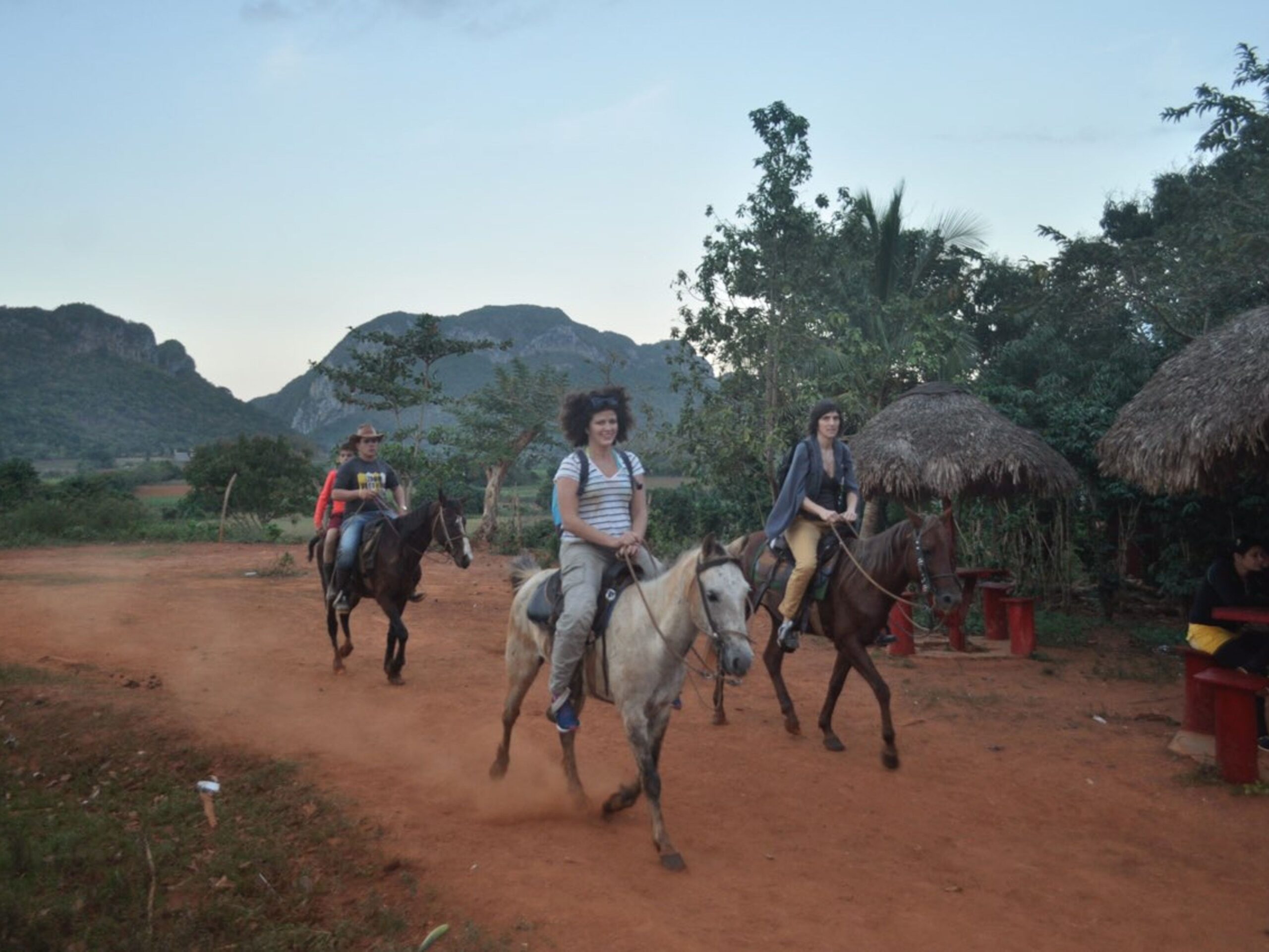 Exploration Équestre: Vivez l&rsquo;Aventure du Cheval