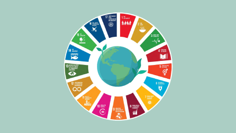 statistiques développement durable