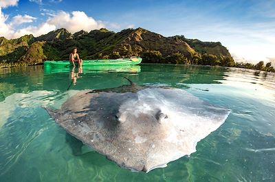 terre mer aventure