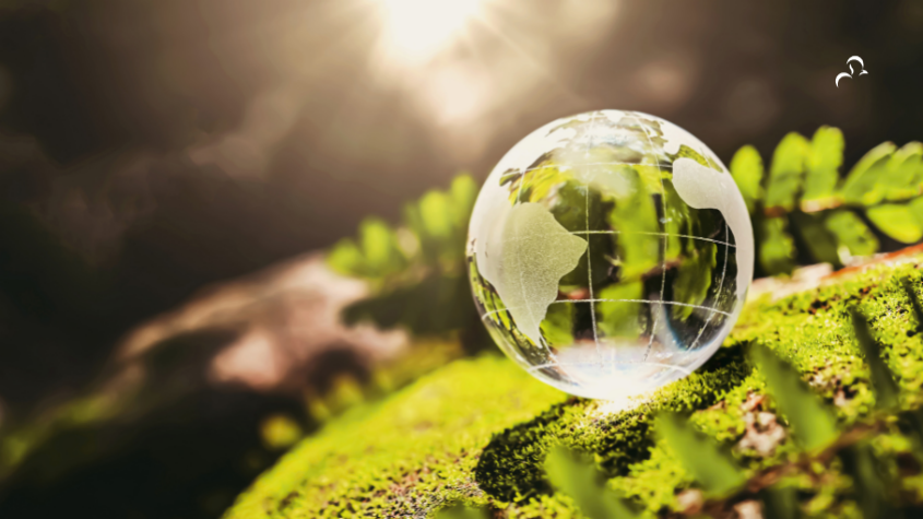 durabilité environnementale