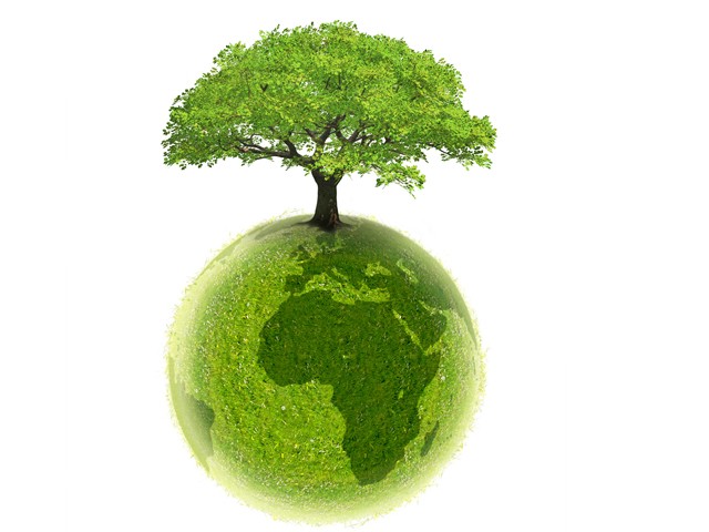 Durabilité et développement durable : préserver la nature, aujourd’hui et demain
