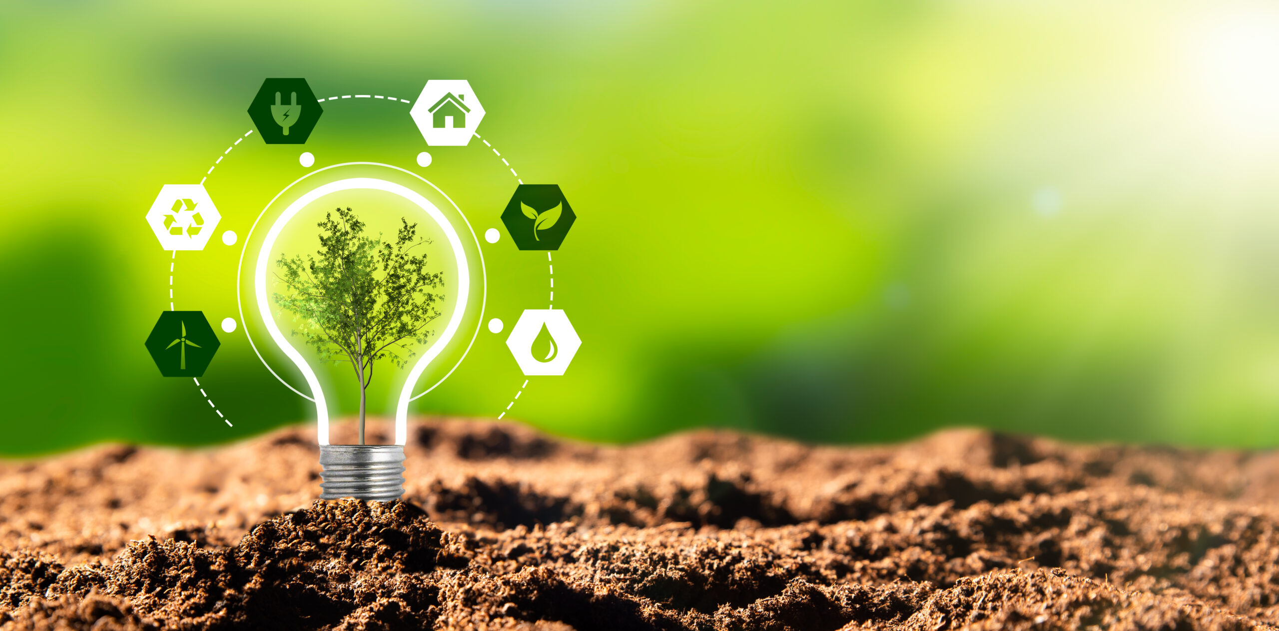 Prix du développement durable : récompenser les initiatives qui font la différence