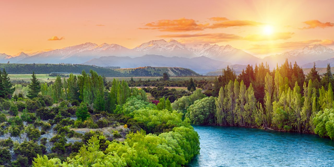 www nature : découvrez la beauté et la richesse de la nature en Suisse